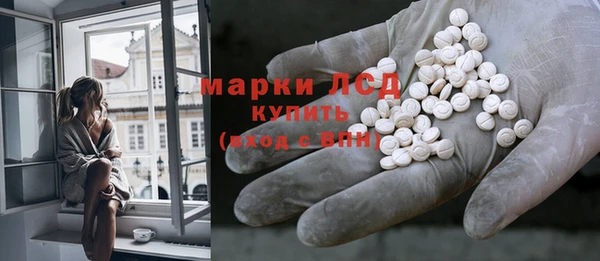ГАЛЛЮЦИНОГЕННЫЕ ГРИБЫ Иннополис