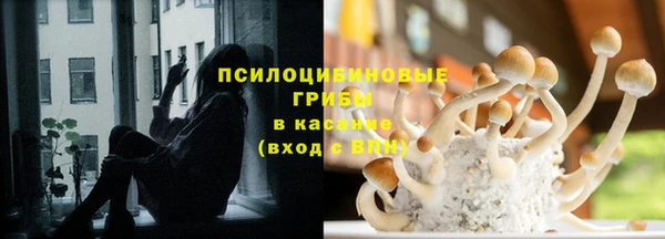спиды Инта