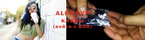 ГАЛЛЮЦИНОГЕННЫЕ ГРИБЫ Иннополис