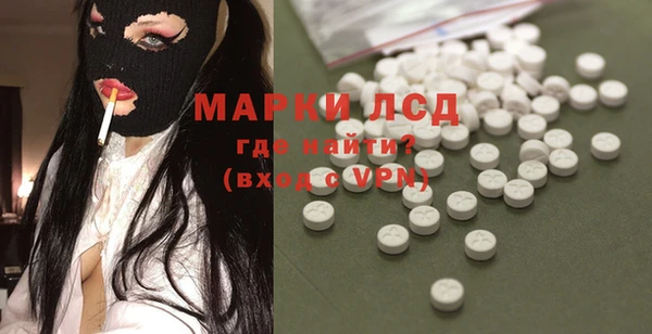 ГАЛЛЮЦИНОГЕННЫЕ ГРИБЫ Иннополис